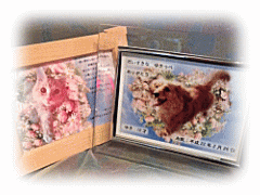 �y�b�g�Α��y�b�g�Z�����j�[�x���b�������A���E�t�H�g�T�[�r�X�y��e�b�����쐬�z