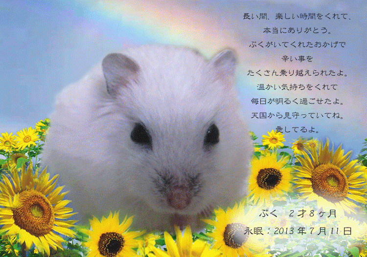 �y�b�g�Α��y�b�g�Z�����j�[�x���b�������A���E�t�H�g�T�[�r�X�yBlog�Ǔ��f�ځz