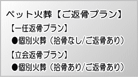 �y�b�g�Α��A���ԍ��v�����b�y�b�g�Z�����j�[�x��